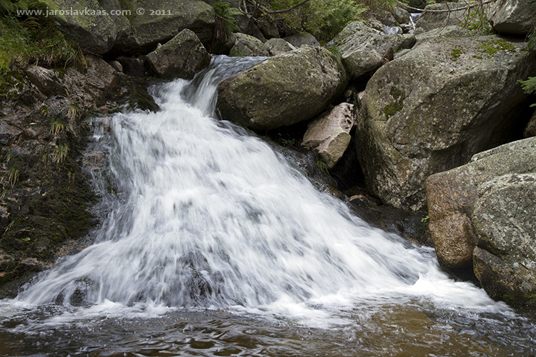 Labe, Krkonošský národní park