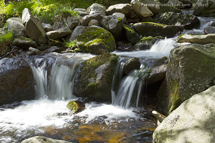 Labe, Krkonošský národní park