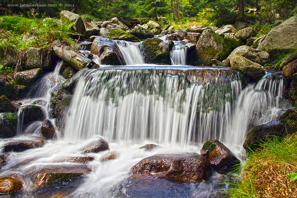 Labe, Krkonošský národní park