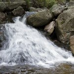 Labe, Krkonošský národní park