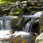 Labe, Krkonošský národní park