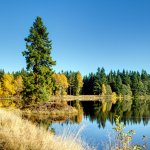 CHKO Slavkovský les, Mýtský rybník / Slavkovský les PLA, Mýtský pond